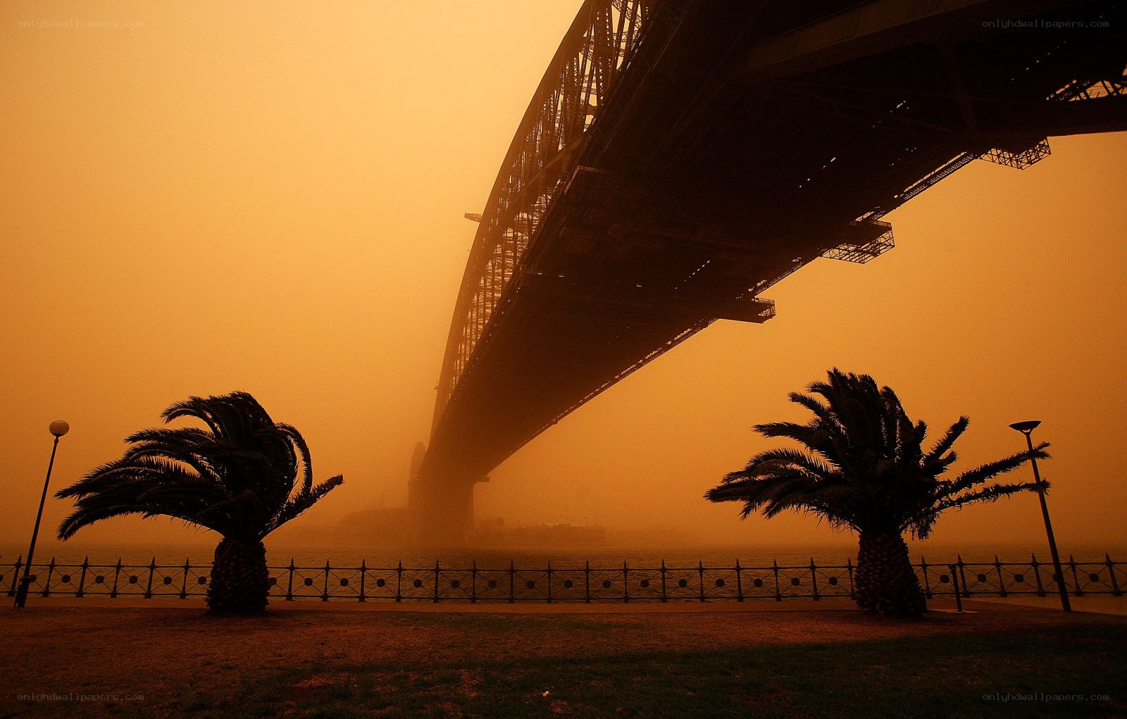Sydney Harbour Bridge at sunset