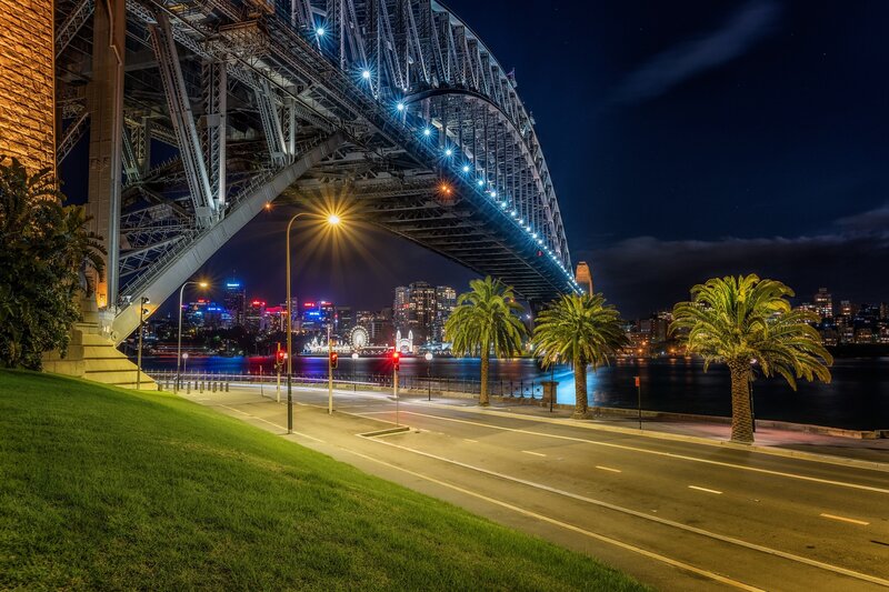 Sydney Harbour Bridge — Blue, Dramatic, Night, Photograph, Palm Trees, City Skyline