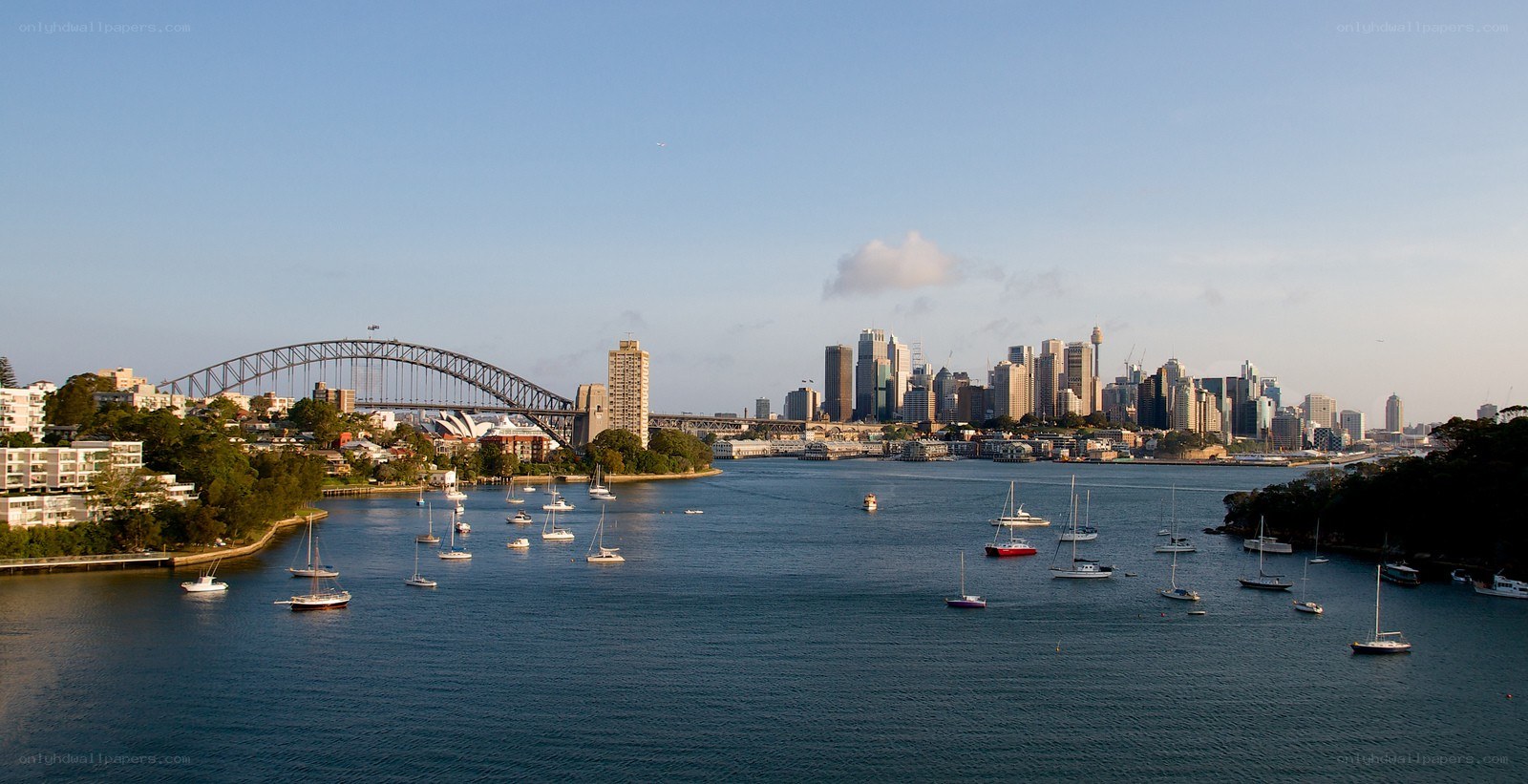Sydney Harbour with Opera House