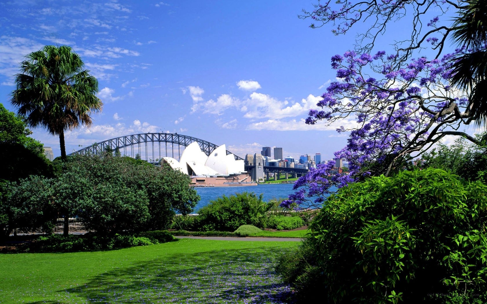 Sydney Opera House and Harbour Bridge