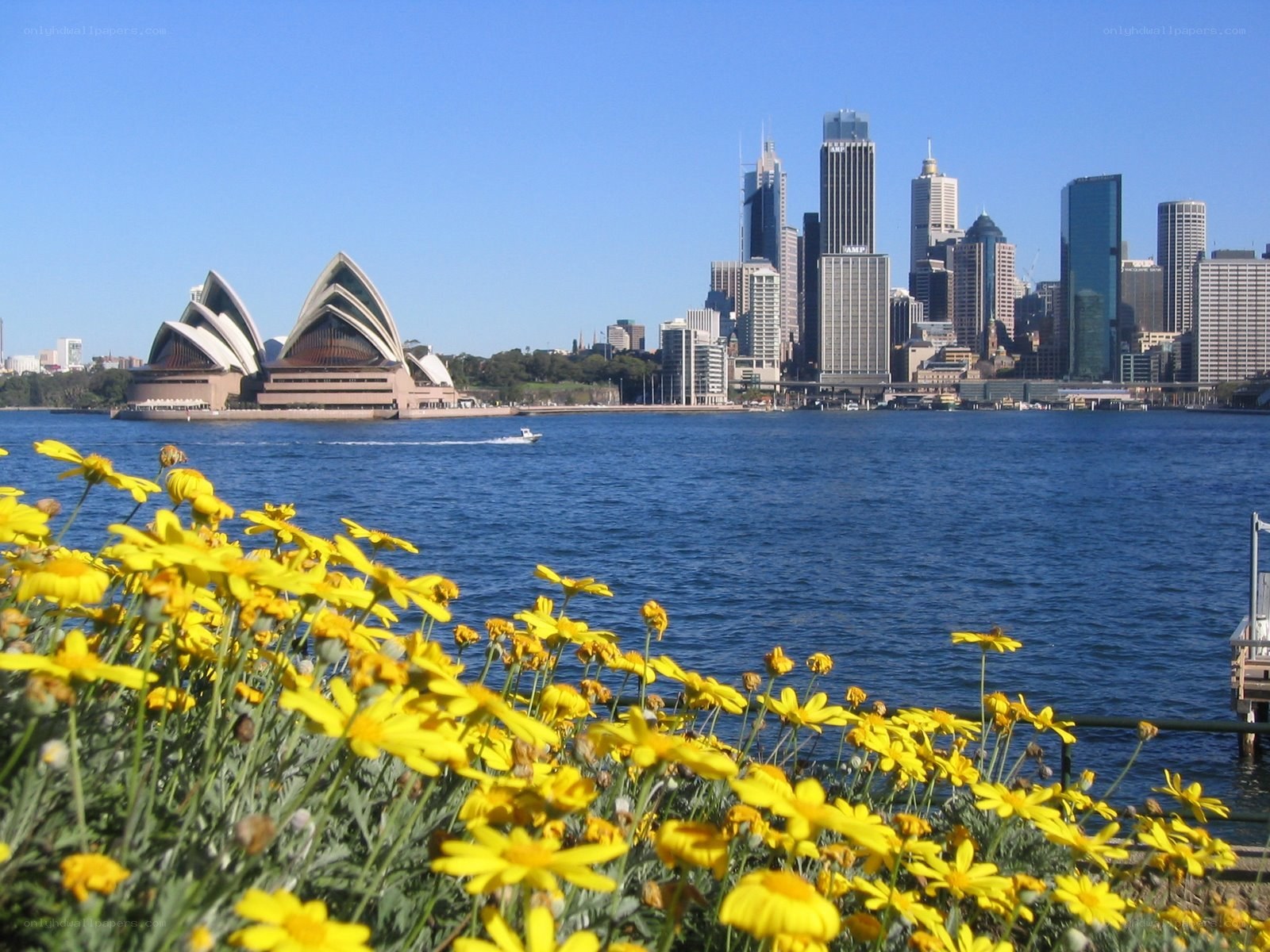Sydney Opera House and skyline