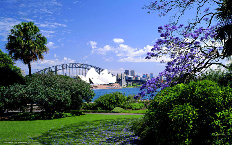 Sydney Opera House View — Blue, Serene