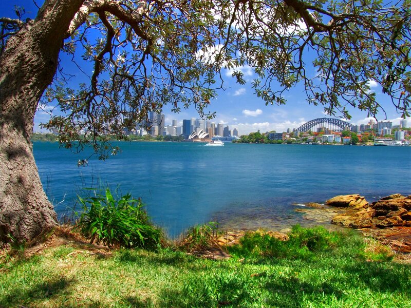 Sydney Opera House View — Blue