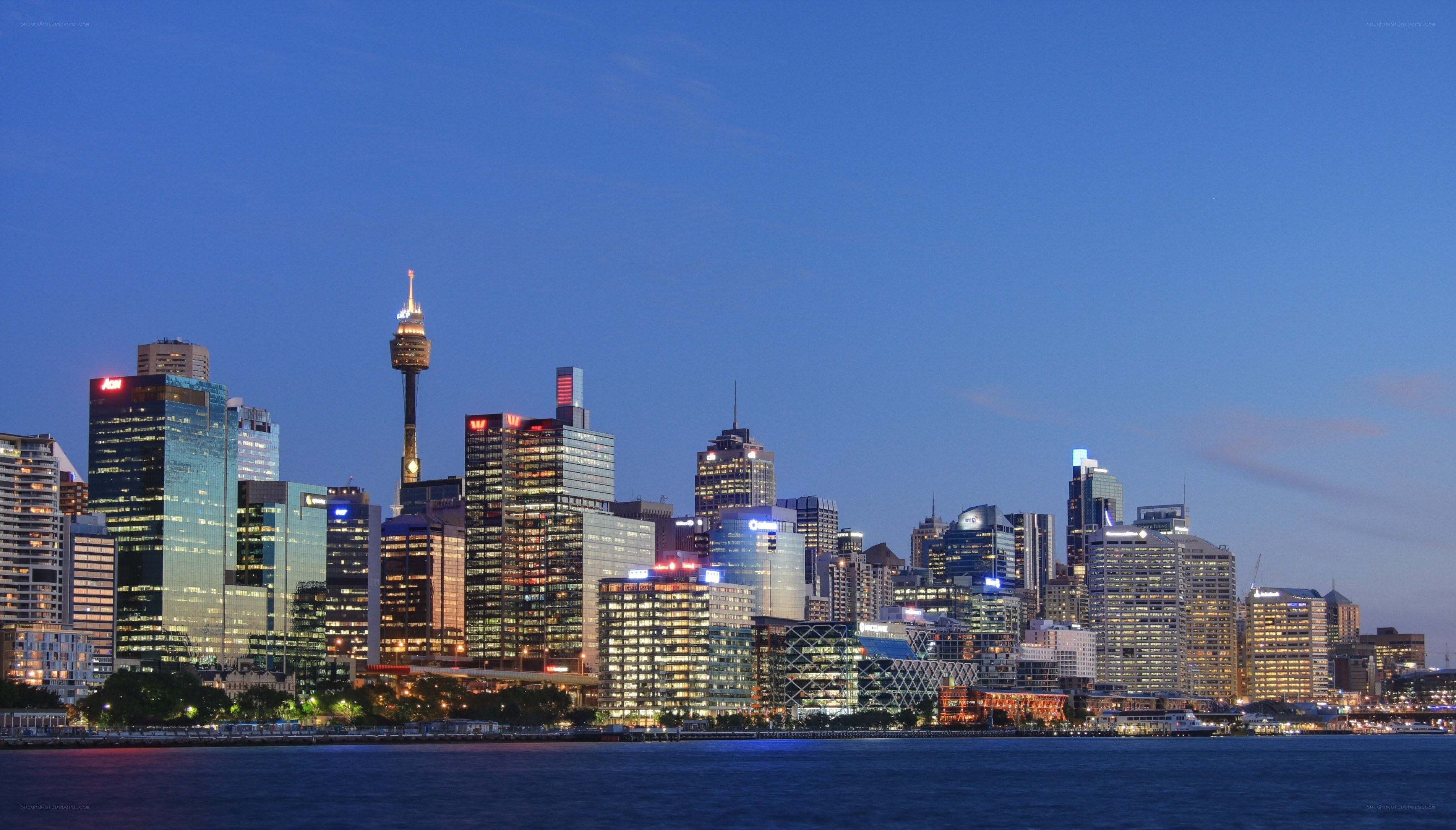 Sydney skyline at dusk