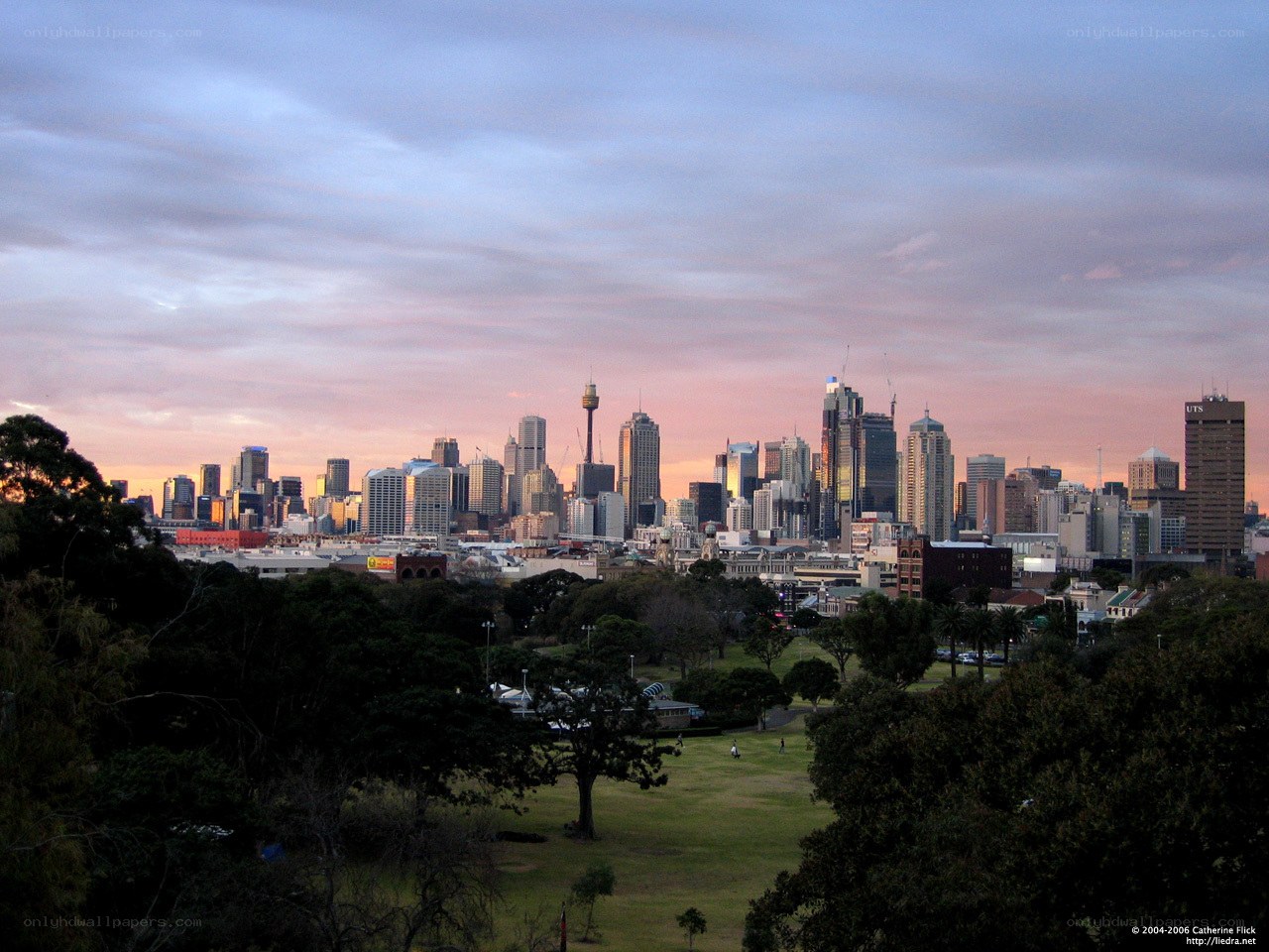 Sydney skyline at dusk