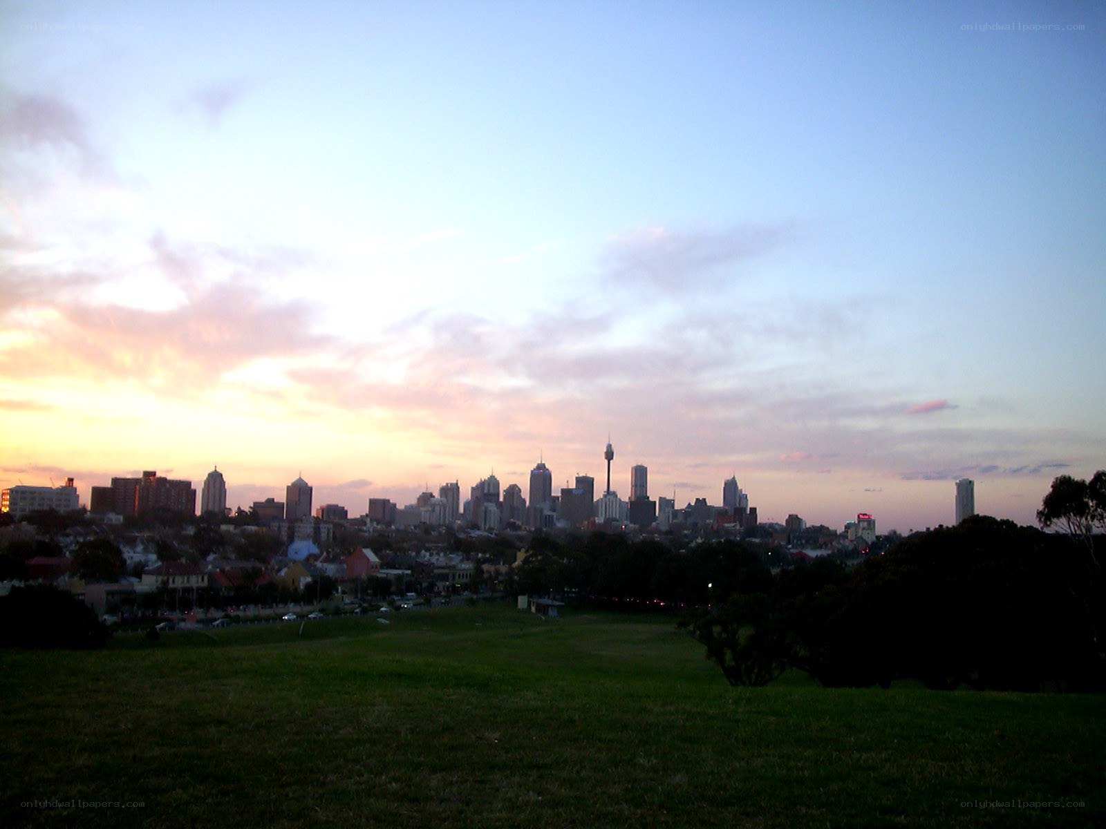Sydney skyline at dusk