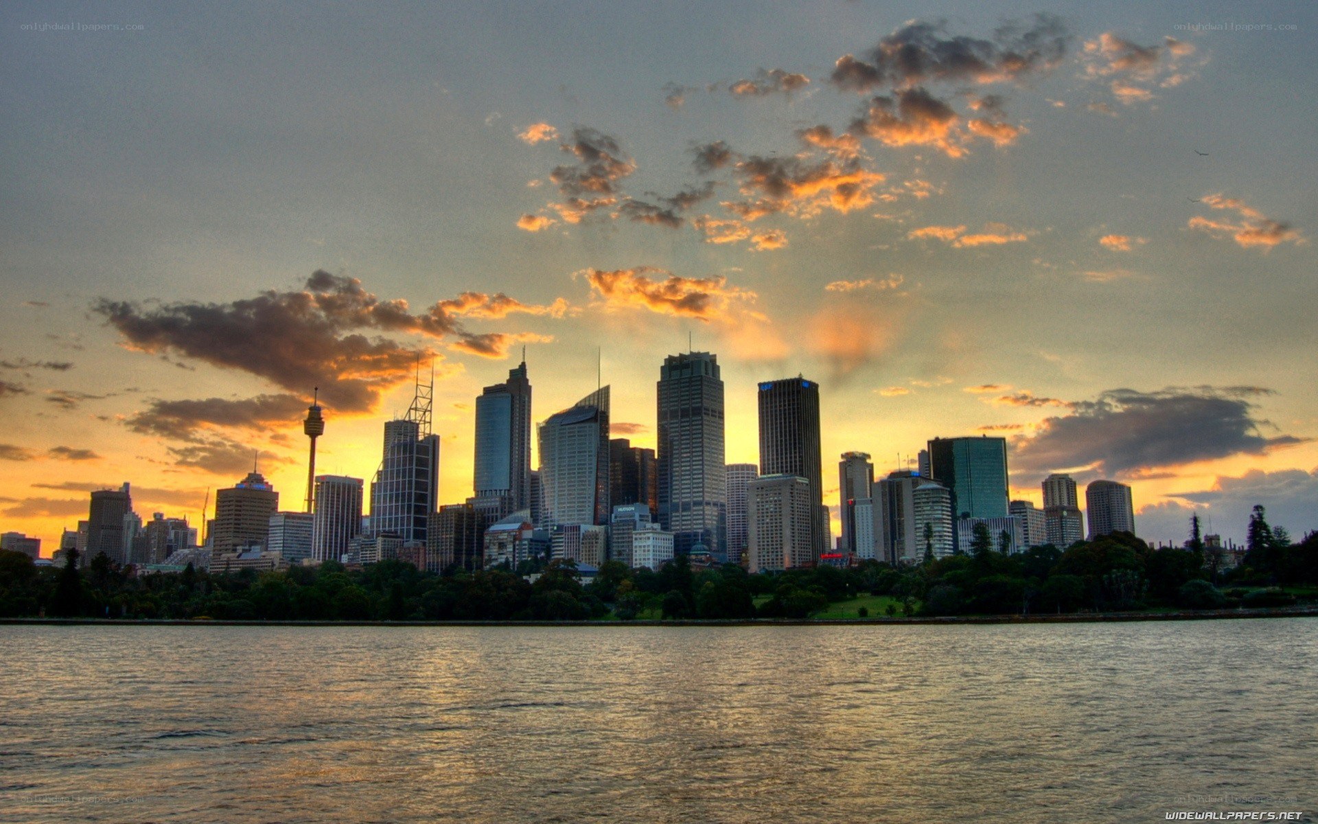 Sydney skyline at sunset