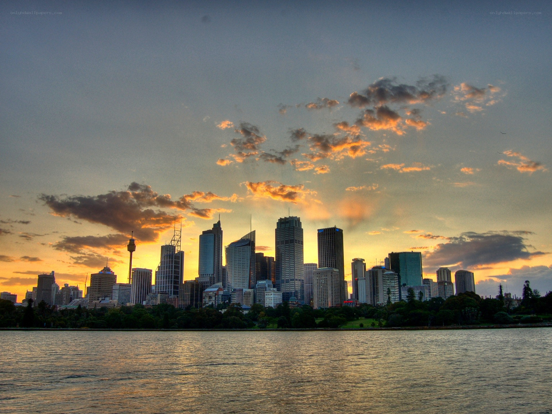 Sydney skyline at sunset