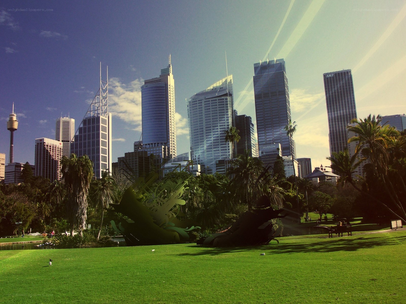 Sydney skyline from a park