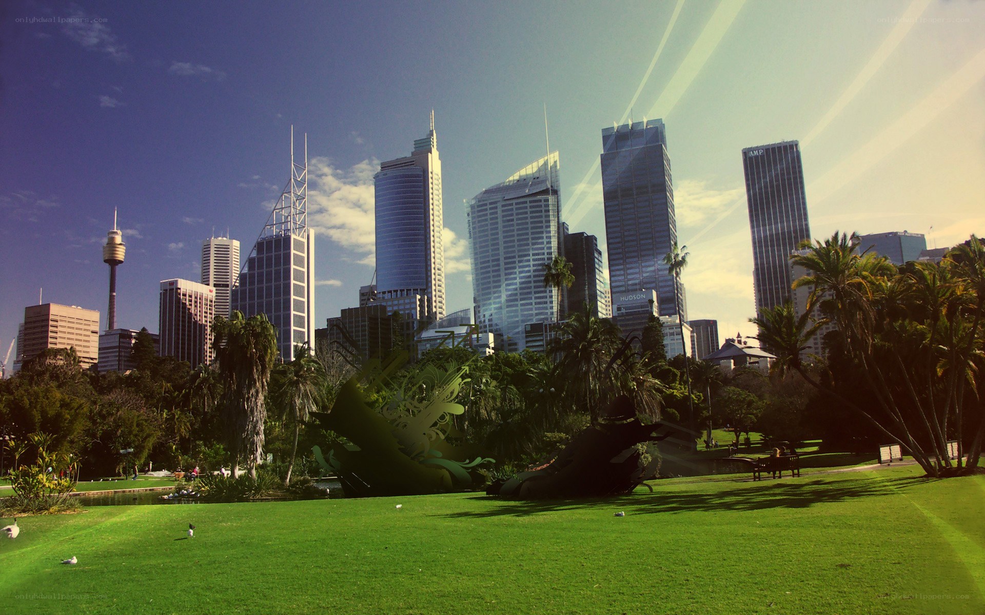 Sydney skyline from a park
