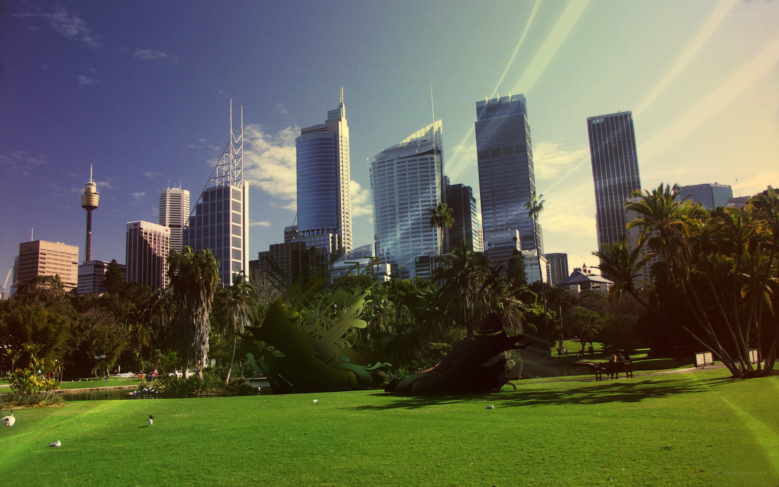 Sydney skyline from a park