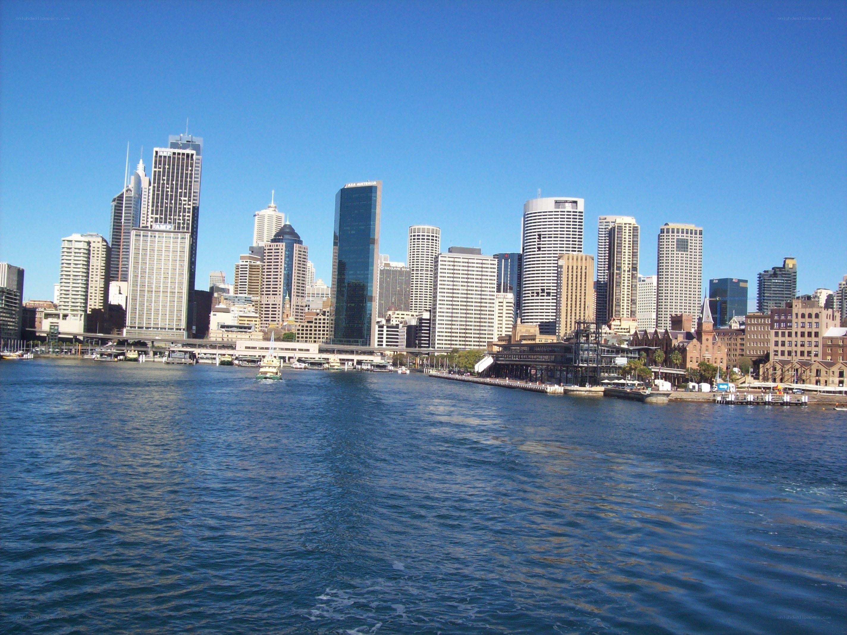 Sydney skyline from the harbor