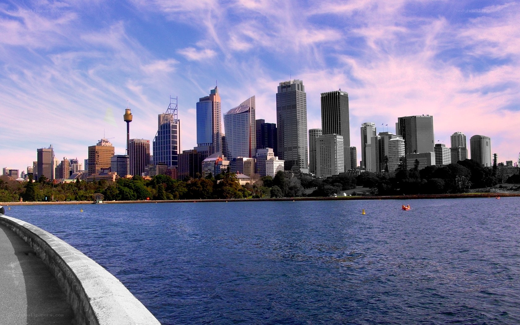 Sydney skyline from the harbor