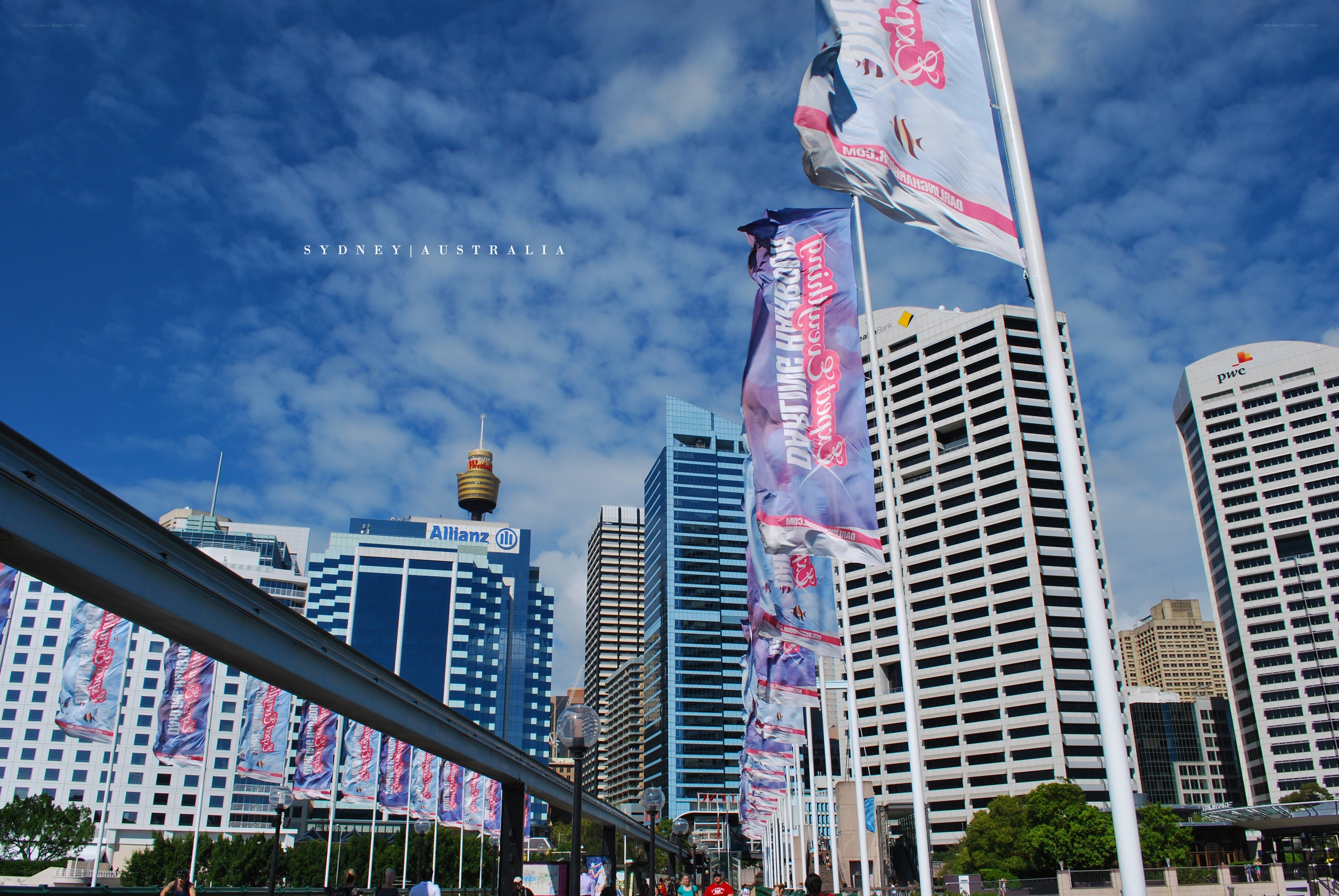 Sydney skyline with flags