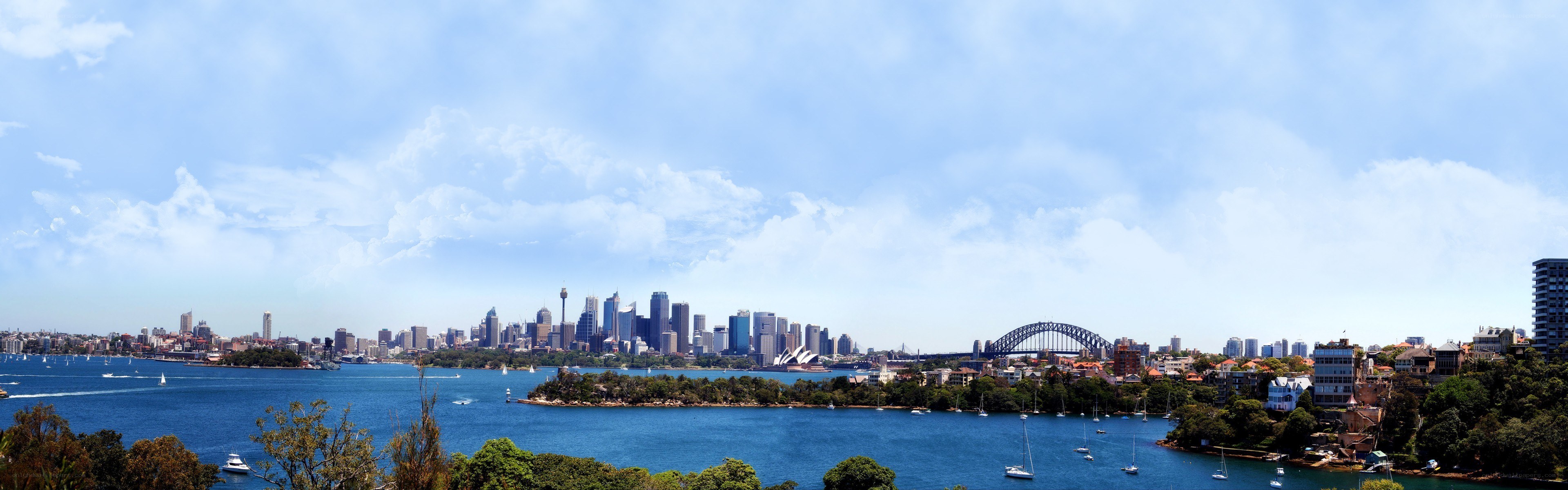 Sydney skyline with harbor