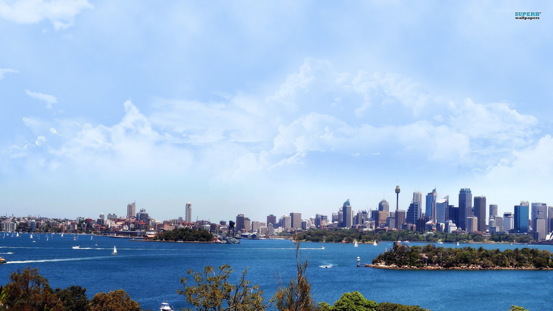 Sydney skyline with harbor