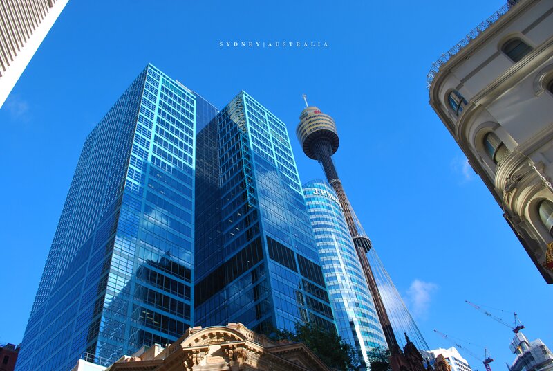 Sydney skyline with tower
