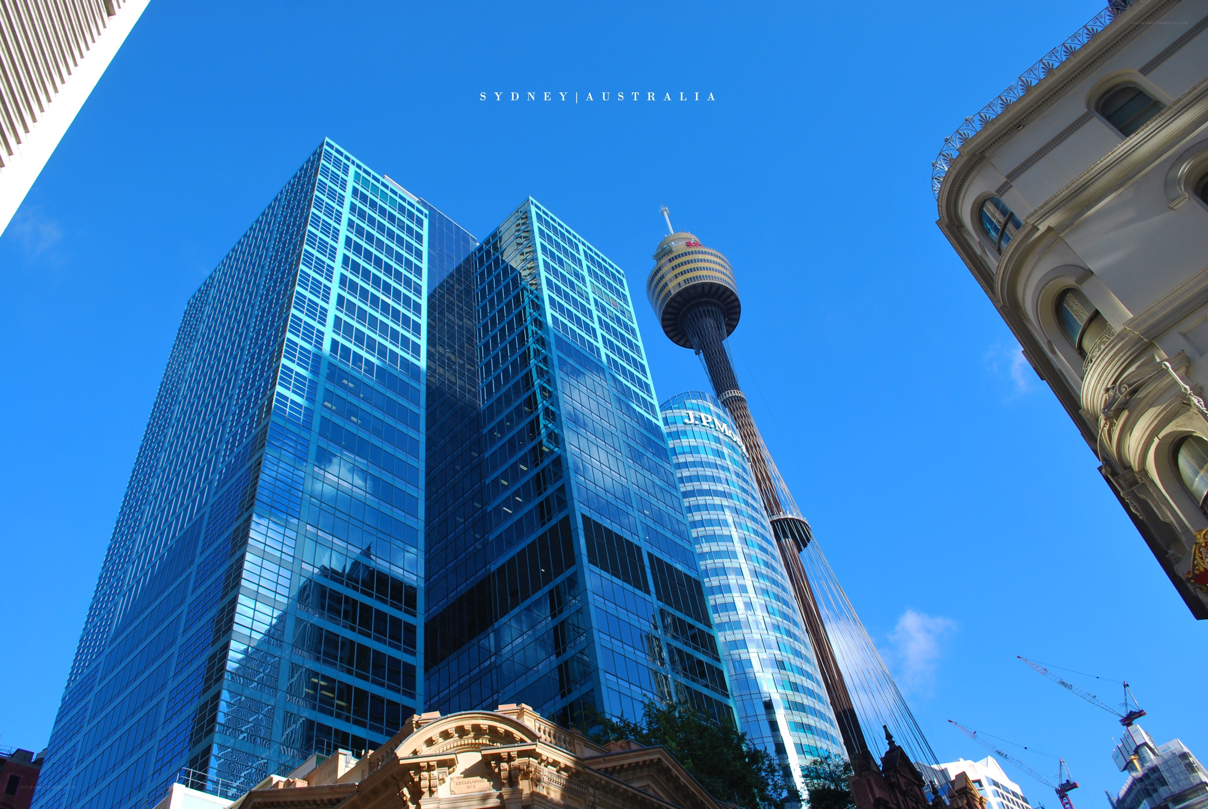 Sydney skyline with tower