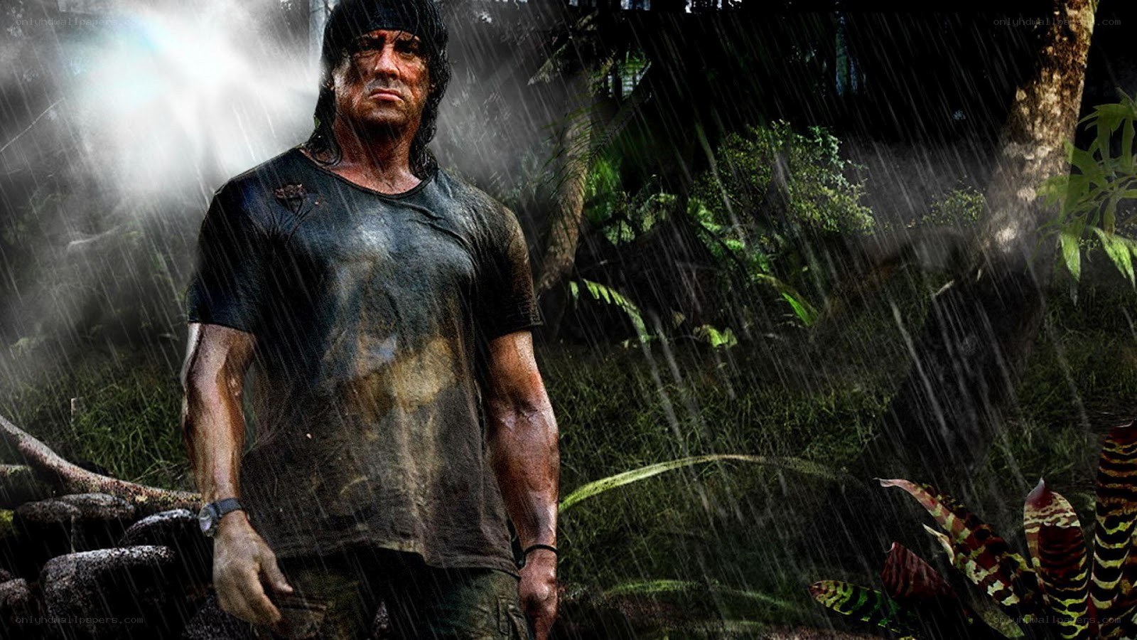 Sylvester Stallone in jungle rain
