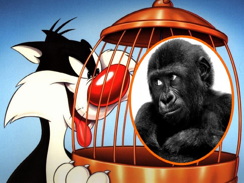 Sylvester the Cat — Blue, Humorous