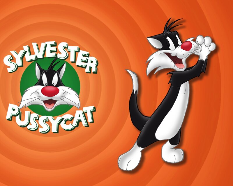 Sylvester the Cat — Orange