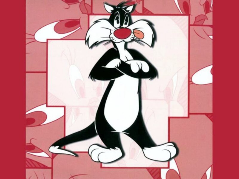 Sylvester the Cat — Red, Confident