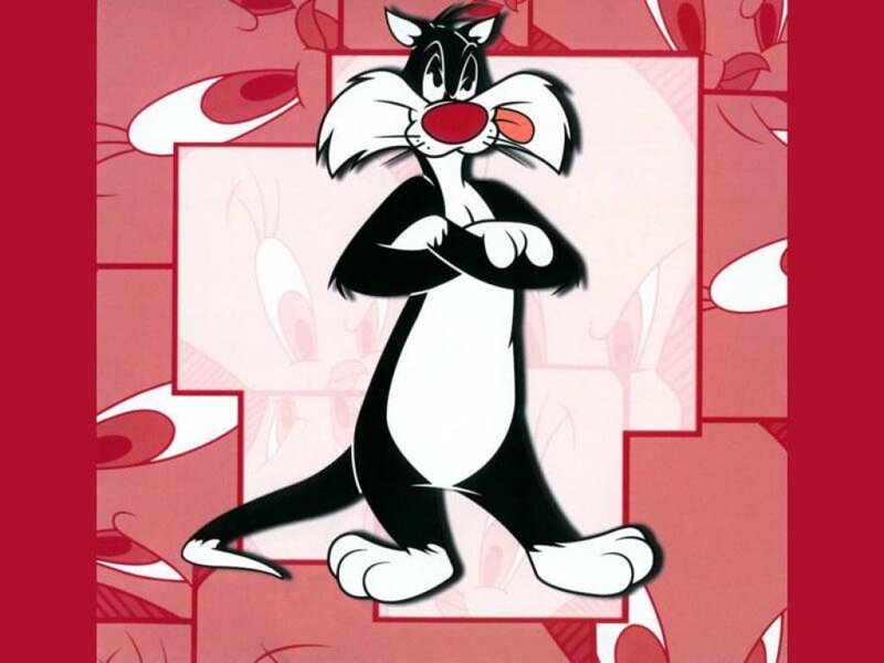Sylvester the Cat stands confidently