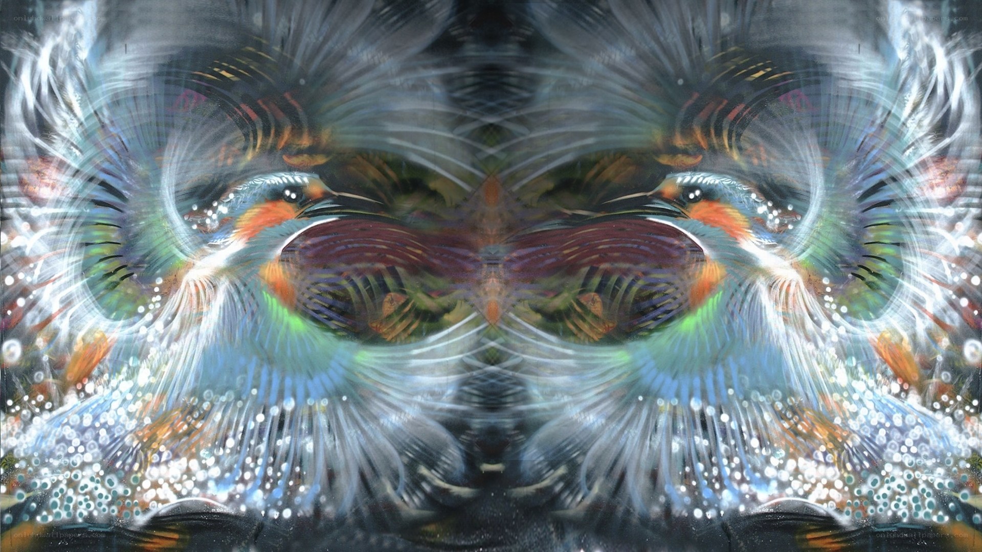 Symmetrical bird art with vibrant colors