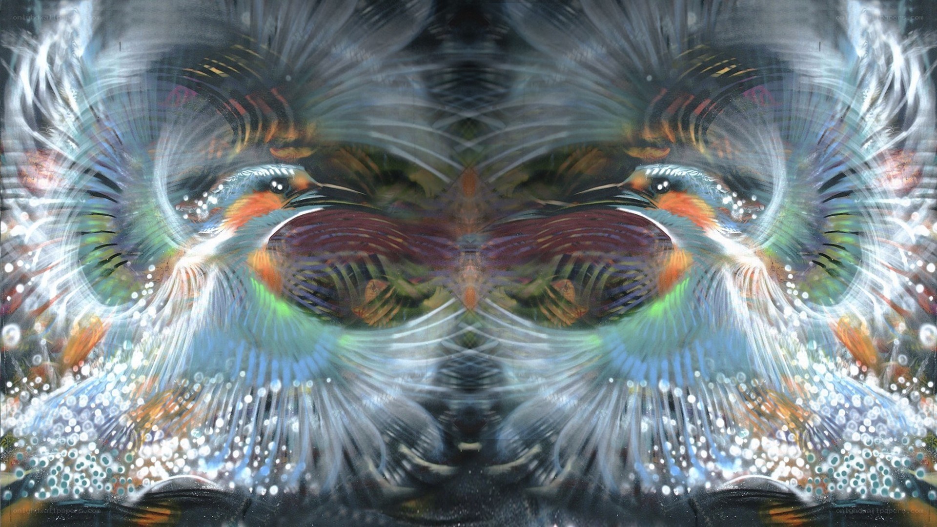 Symmetrical bird mandala art