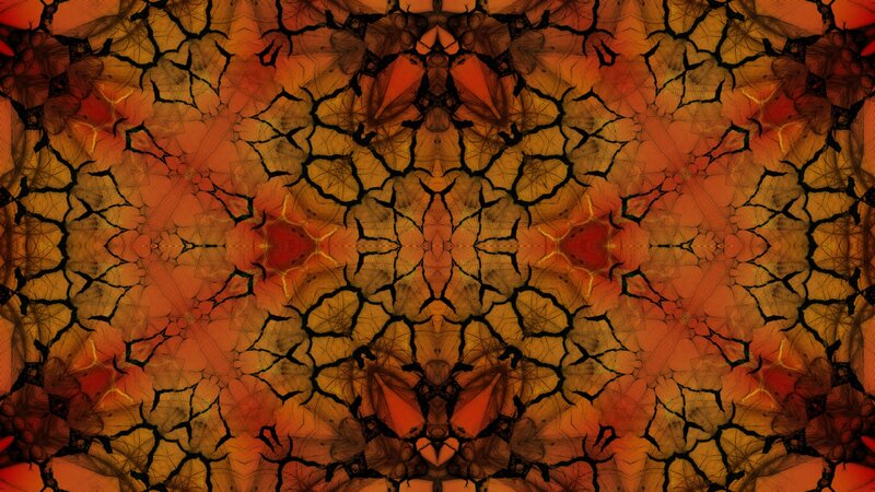 symmetrical cracked earth pattern