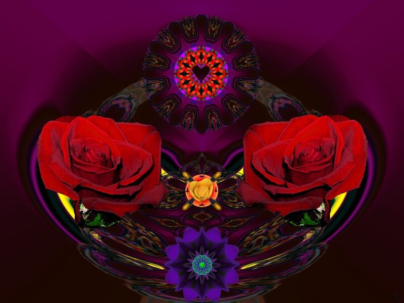 Symmetrical floral mandala with roses