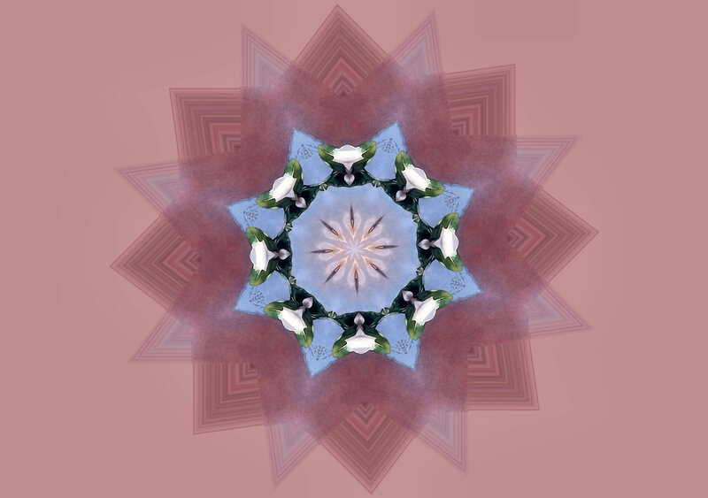 Symmetrical Flower Mandala — Pink