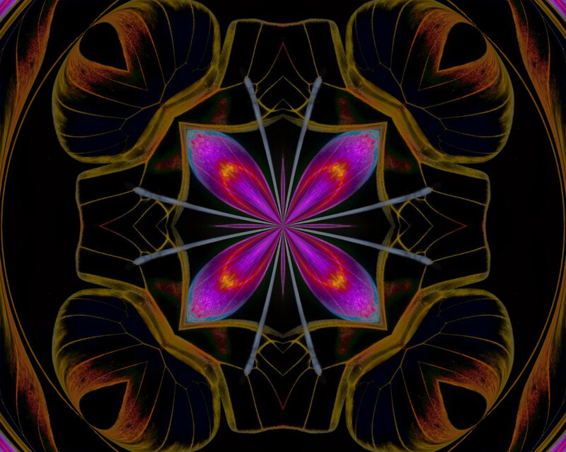 Symmetrical Flower Mandala — Purple