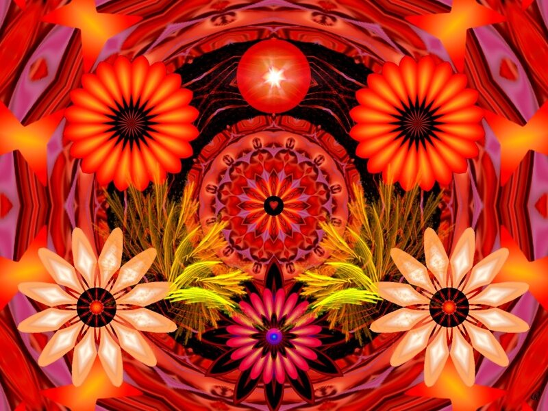 Symmetrical Flower Mandala — Red