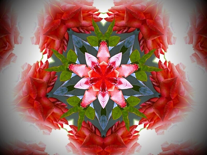 Symmetrical Flower Pattern