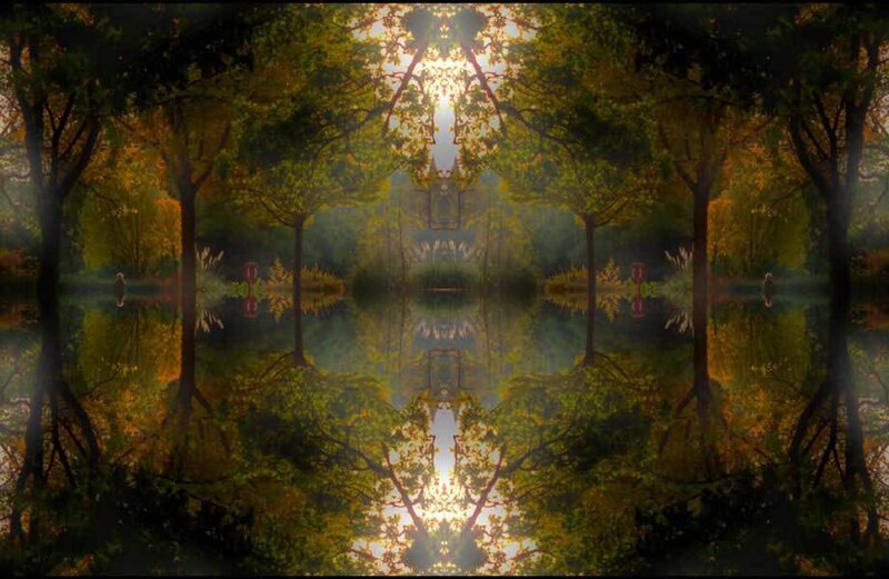 Symmetrical Forest Reflection