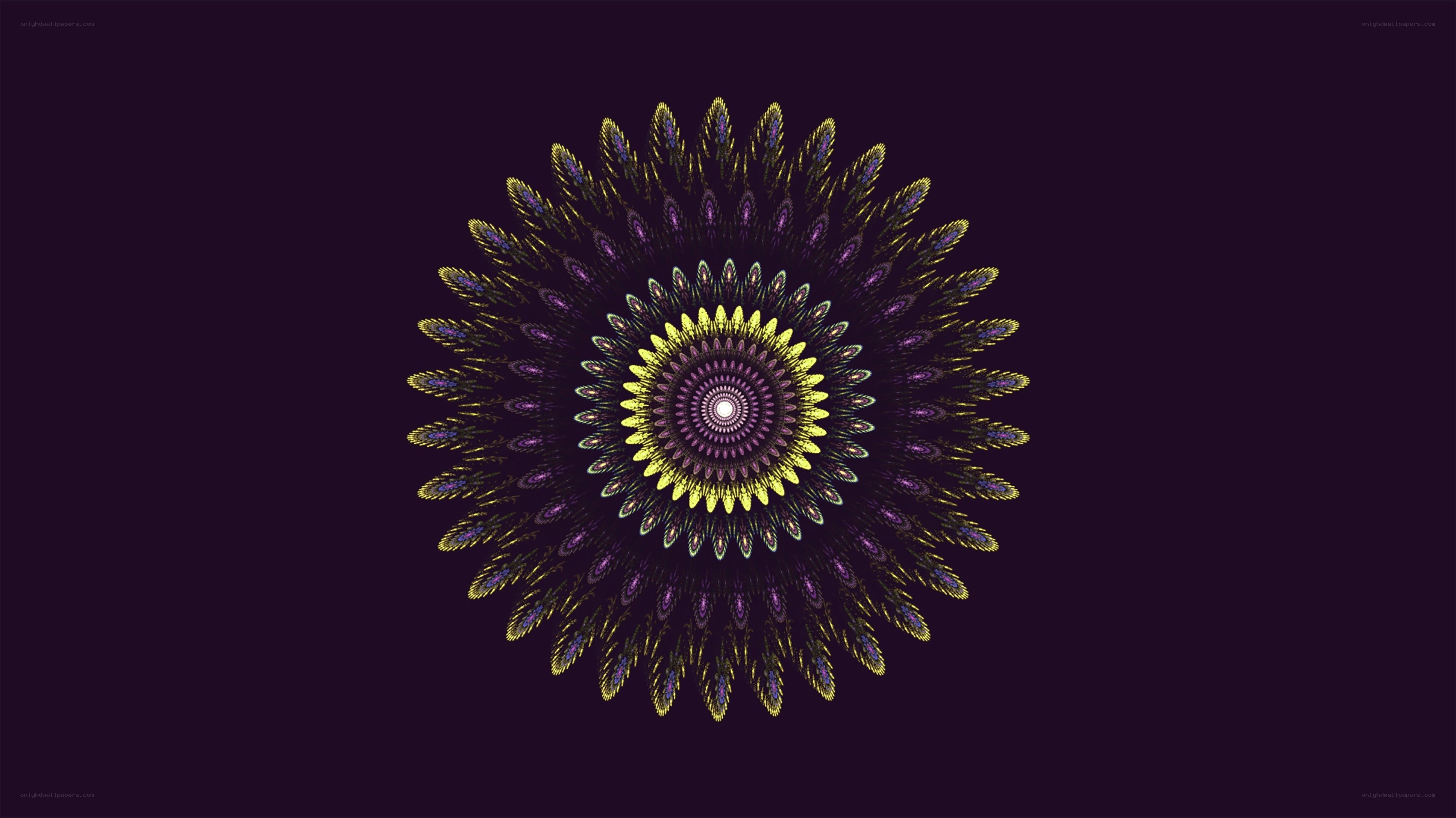 symmetrical fractal mandala