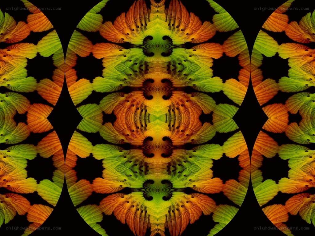 symmetrical fractal pattern