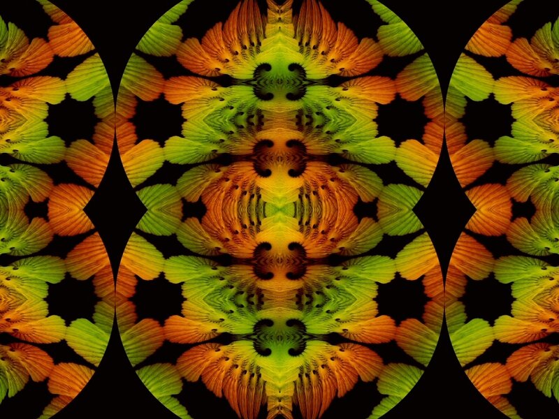 Symmetrical Fractal Pattern — Green, Vibrant, Abstract