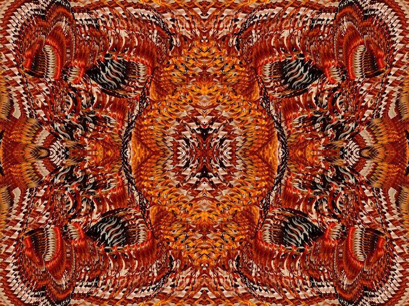 Symmetrical Fractal Pattern — Orange, Hypnotic, Abstract