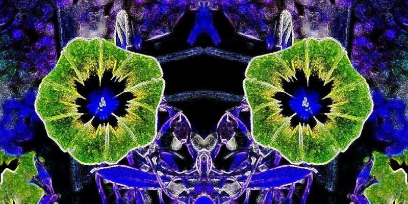 Symmetrical Green Flowers