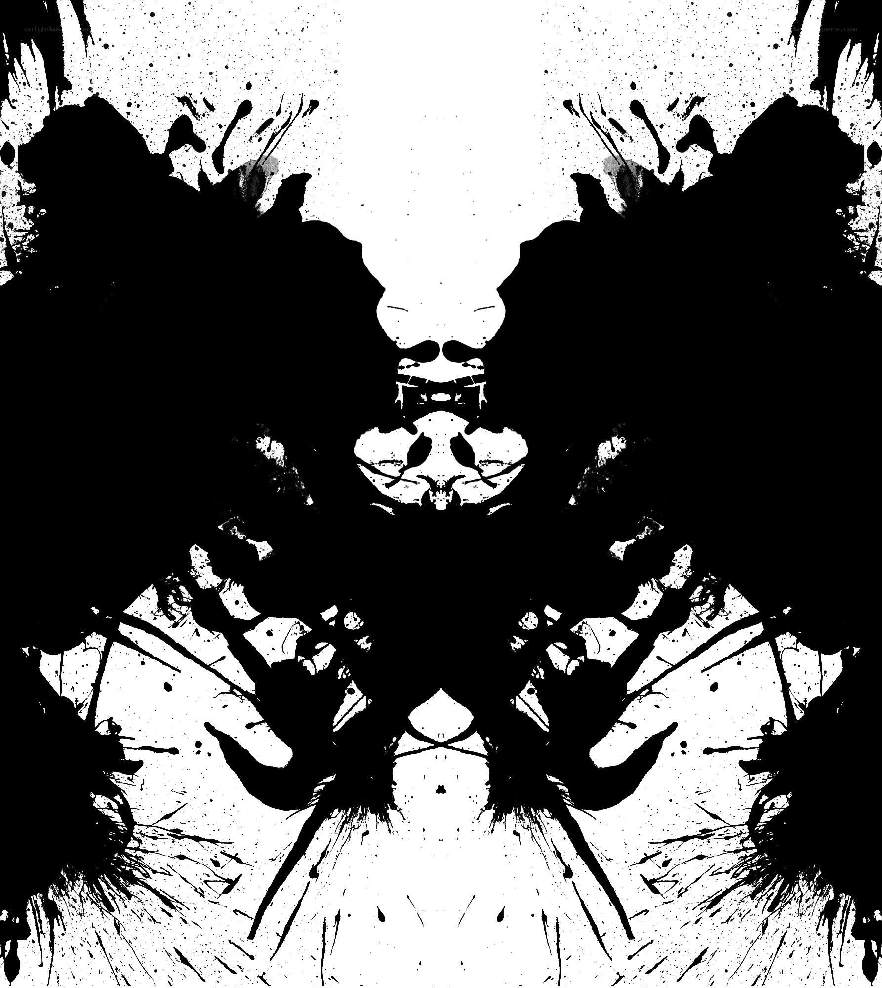 symmetrical inkblot pattern