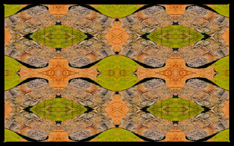 Symmetrical Leaf Pattern