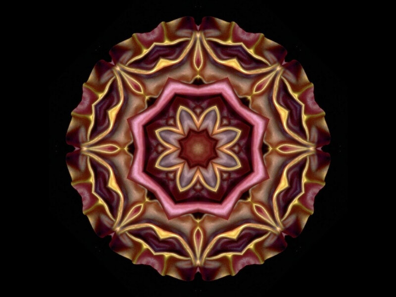 Symmetrical Mandala Pattern — Purple, Hypnotic
