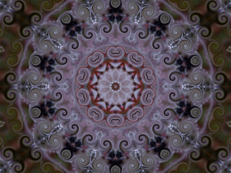 Symmetrical Mandala Pattern — White, Hypnotic