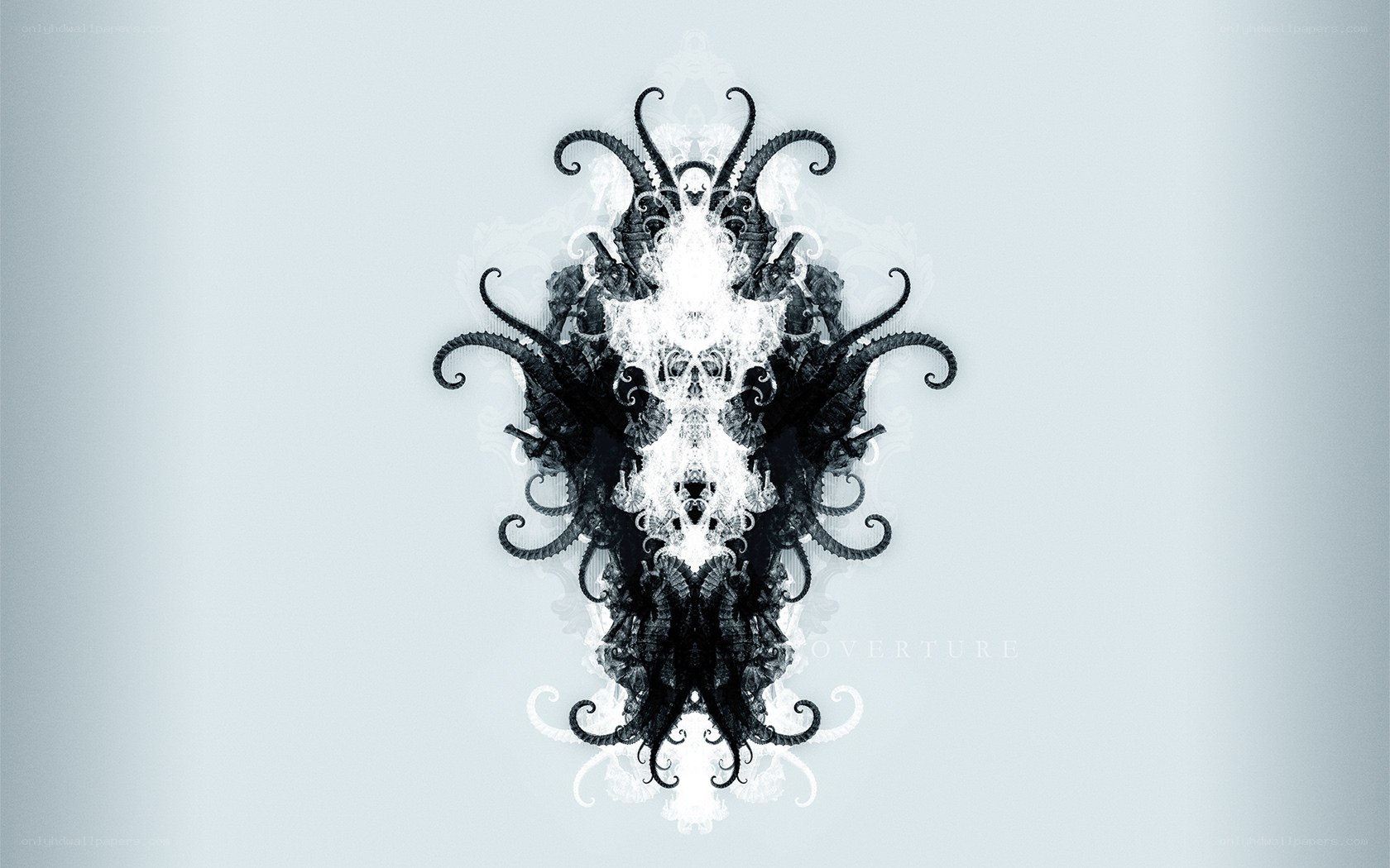 Symmetrical octopus fractal design
