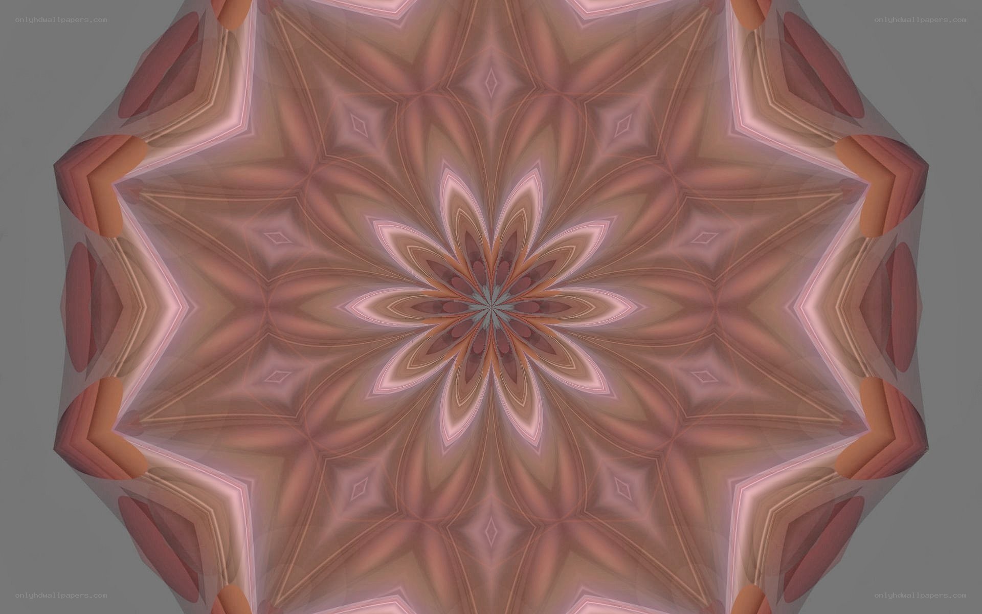 symmetrical pink mandala