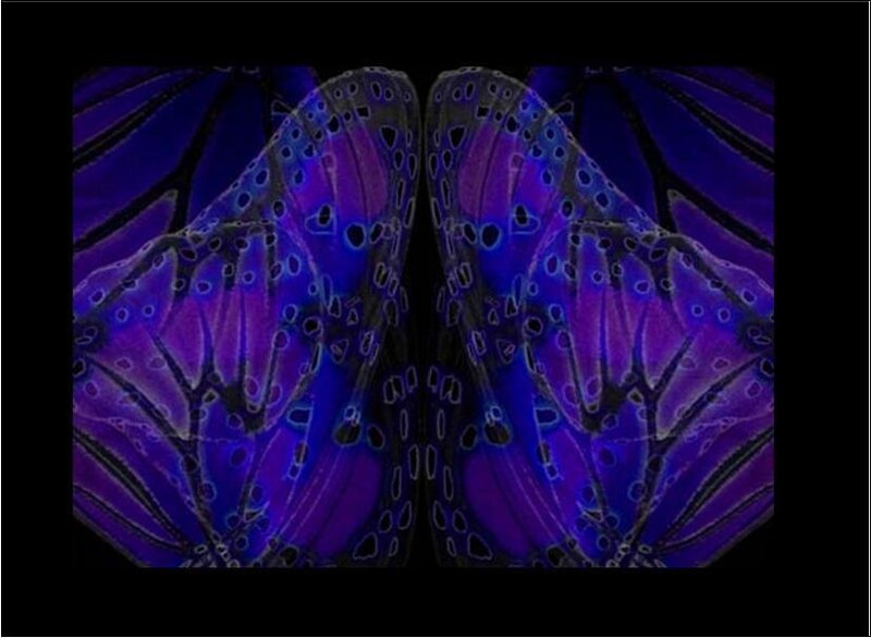 Symmetrical purple butterfly wings