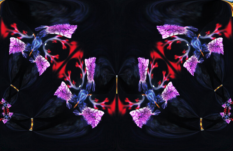 Symmetrical purple fish pattern