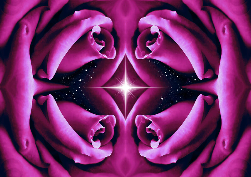 Symmetrical Purple Roses — Dreamy